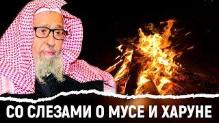 Эмоциональный рассказ о Мусе и Харуне | Шейх Фаузан