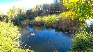 PIKE IN THE OLD-FASHIONED WAY FOR A SPINNER!! Spinning fishing on the small river