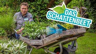 Der Schattengarten: Schattenbeete gestalten und anlegen