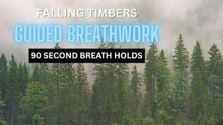 Jesse Coomer - Falling Timbers with 90 Second Holds