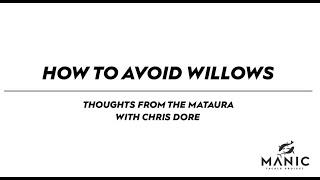 How to Avoid Willows when Fly Fishing