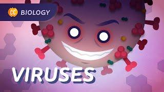 Viruses & Vaccines: How Do Vaccines Work?: Crash Course Biology 39