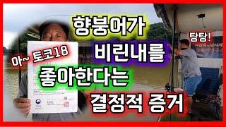 향붕어가 토코18에 환장할 수 밖에 없는 논리적인 이유!!