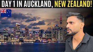 Life in AUCKLAND, NEW ZEALAND! 