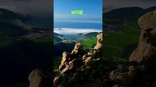 봄 여행 best 맛집 남해 우연이봄