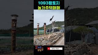 강진군 농가주택매매(풀 영상은 "잘하는 부동산"으로 검색부탁드려요)