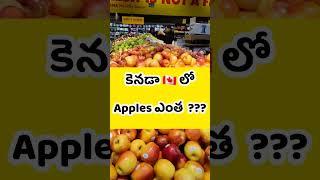  Canada Telugu Vlogs  ( Apples Rate Entha ??? ) #canadateluguvlogs