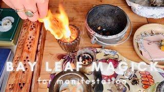 BAY LEAF MANIFESTATION MAGIC | BURNING BAY LEAVES | NEW MOON WITCHCRAFT | EMILY'S TAROT MAGICK