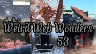 weird web wonders 53