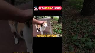 全世界都這樣畫咖啡杯？你也是？ | 維思維