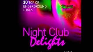 Night Club Delights - 30 Top Of Underground Tunes Vol.4 [Full Album]