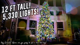 12 FT TALL with 5,330 LIGHTS!! - Costco RGB Micro LED Christmas Tree Review