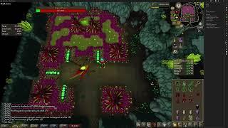 "Full" Layout CoX Solo Example | 100k points/hr.