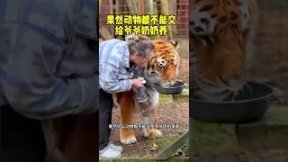 【动物趣事】果然动物都不能交给爷爷奶奶养！