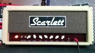 Scarlett Scout Amplifier