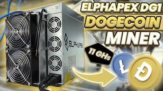 Elphapex DG1 Dogecoin Litecoin ASIC Miner Mining Profitability and Review