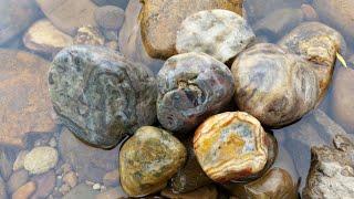 Avon River agate Victoria Australia. Agating, rock hounding.