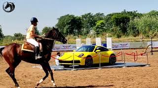 DAY 1 CHANDIGARH HORSE SHOW!