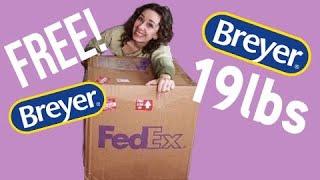 UNBOXING 19lbs of FREE Breyer Model Horses!