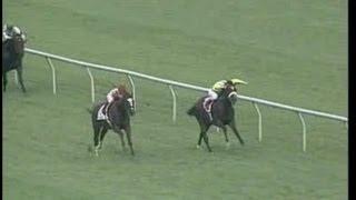 Kitten's Joy -vs- Artie Schiller - 2004 Virginia Derby