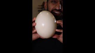 Let's Try the BIGGEST EGG in the World (Ostrich)