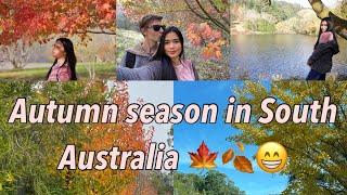 Autumn season in South Australia 2020  ️