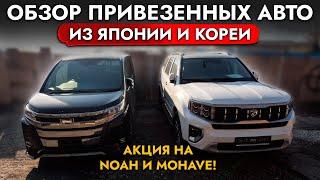 ПРИВЕЗЛИ НОВЫЙ YARIS, FREED️ TOYOTA NOAH, KIA MOHAVE В НАЛИЧИИ️ СНИЖЕНИЕ ЦЕН️ ОБЗОР СТОЯНКИ