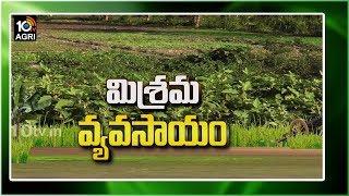 మిశ్రమ వ్యవసాయం | Ideal Farmer Mixed Farming | Matti Manishi | 10TV News