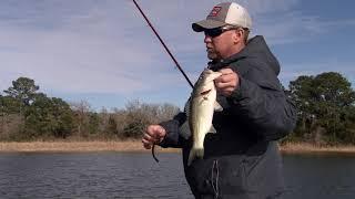 Secret Lures Ledge Shaker For Bass Fishing