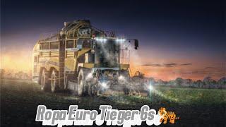 Ropa Euro Tieger 6s  Zuckerrüben Ernte 2024 XXL Sugarbeet Harvester XXL