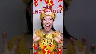 MBTI 내가 만약 동물이 된다면?!여러분들은 어떤 유형인가요? #shorts