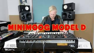 Minimoog Model D