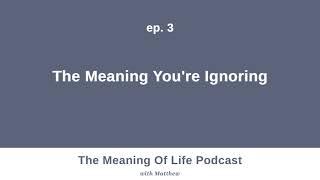 ep.3 - The Meaning You're Ignoring | The Meaning of Life Podcast