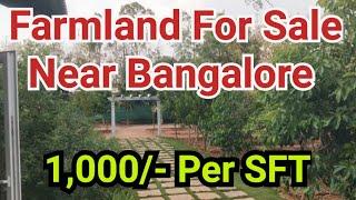 farmland for sale near bangalore #realestate #farmlandsforsale #farmland