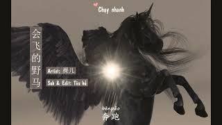 [3] 会飞的野马 - 裸儿 | Flying horse (OST Evil minds - Đề thi đẫm máu) | Sub & Edit: Tàu Hủ