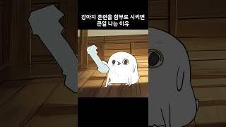 강아지 훈련을 함부로 시키면 큰일나는 이유