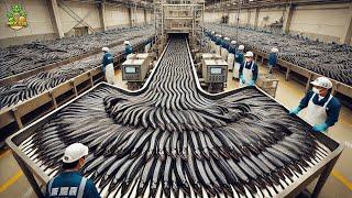 How Millions of Eels Are Processed in a Factory | Eel Production Process