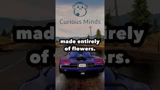 #curiousminds - The Most Bizarre Art Installations Around the World