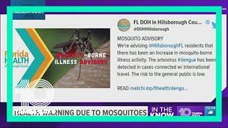 Florida Department of Health sees an increase in mosquito-borne illness