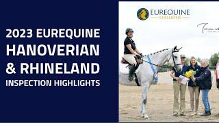 2023 Hanoverian & Rhineland Inspection Highlights