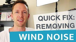 Remove Wind Noise in Videos: Quick Audio Fix