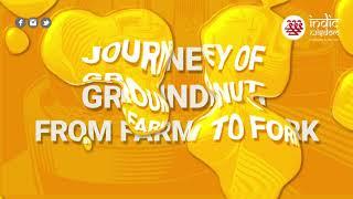 Journey of Groundnut - From Farm to Fork | Indic Wisdom