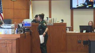 Sarasota hit-and-run suspect makes first appearance in court