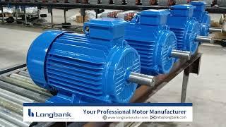 Variable Frequency Motors with widespread adjustable range(Send Inquiry: info@longbank.com)