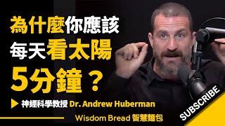 為什麼你應該每天看太陽5分鐘？► 神經科學教授 Dr Andrew Huberman 安德魯．休伯曼博士（中英字幕）