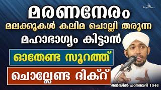 പരലോക ചിന്തകൾ കൊണ്ടുള്ള നേട്ടം New Islamic Speech - Sahal faizy Odakkali