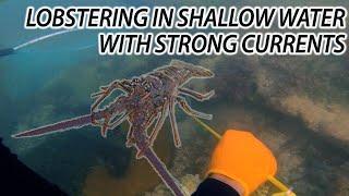 Lobstering in Shallow Live Bottoms with Strong Current!