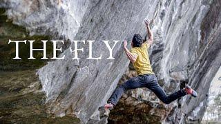 The Fly v13