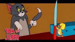 Tom y Jerry se vuelven salvajes | @GenWBLatino