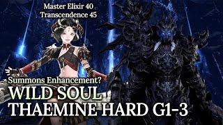 [Lost Ark]1640 SE Wild Soul - Thaemine Hard Gate 1-3